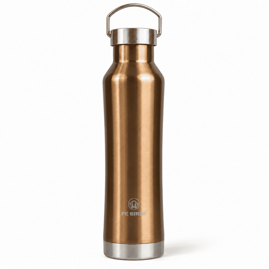 PE BIRDS Hydra 500 ml Stainless Steel Insulated Water Bottle with Steel Lid