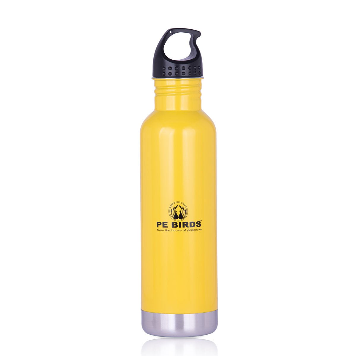 PE BIRDS Stainless Steel Maxo Water Bottle - 750 ml - pebirds - peacocks