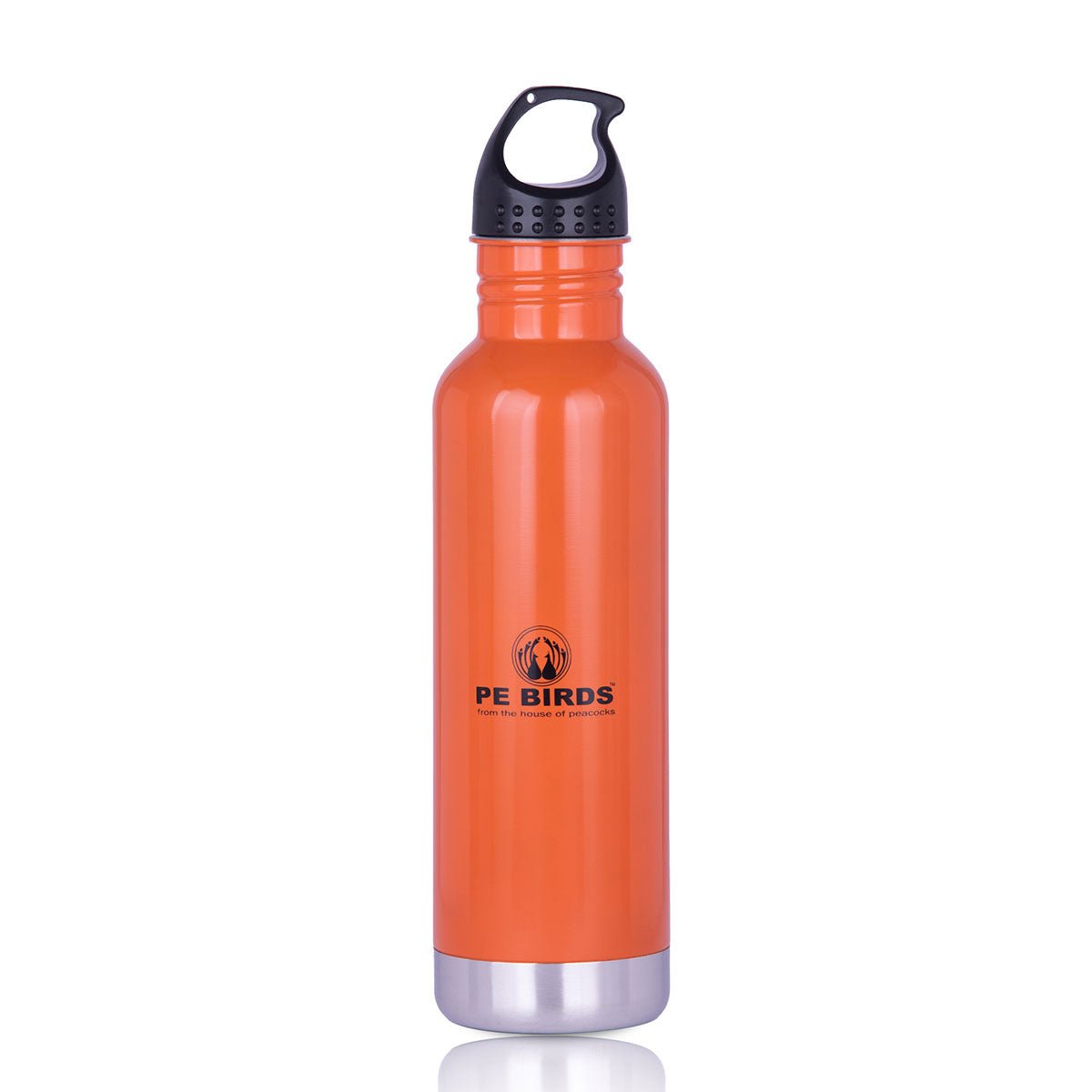 PE BIRDS Stainless Steel Maxo Water Bottle - 750 ml - pebirds - peacocks