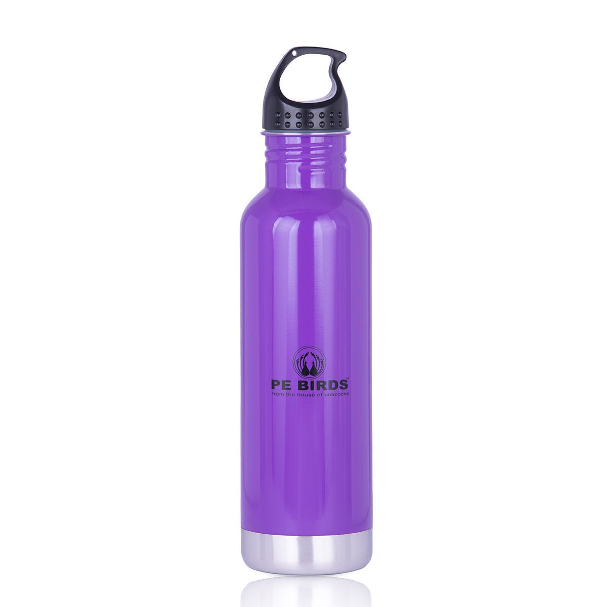 PE BIRDS Stainless Steel Maxo Water Bottle - 750 ml - pebirds - peacocks