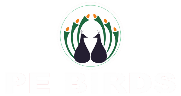 pebirds-peacocks