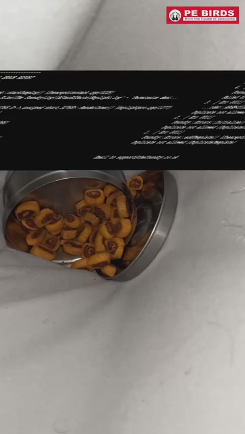 Pluto Sambar Jar Vacuum Insulated Food Jar