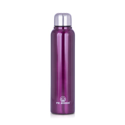 Pony Fridge Water Bottle Stainless Steel