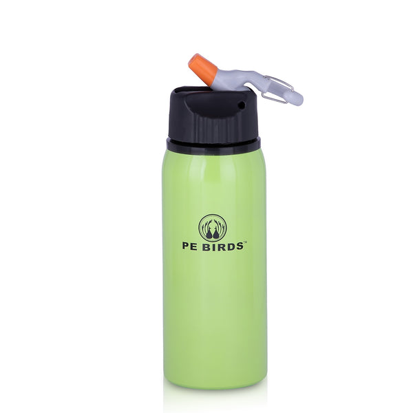 PE BIRDS Stainless Steel Ludo BPA FREE Water Bottle,700 ml