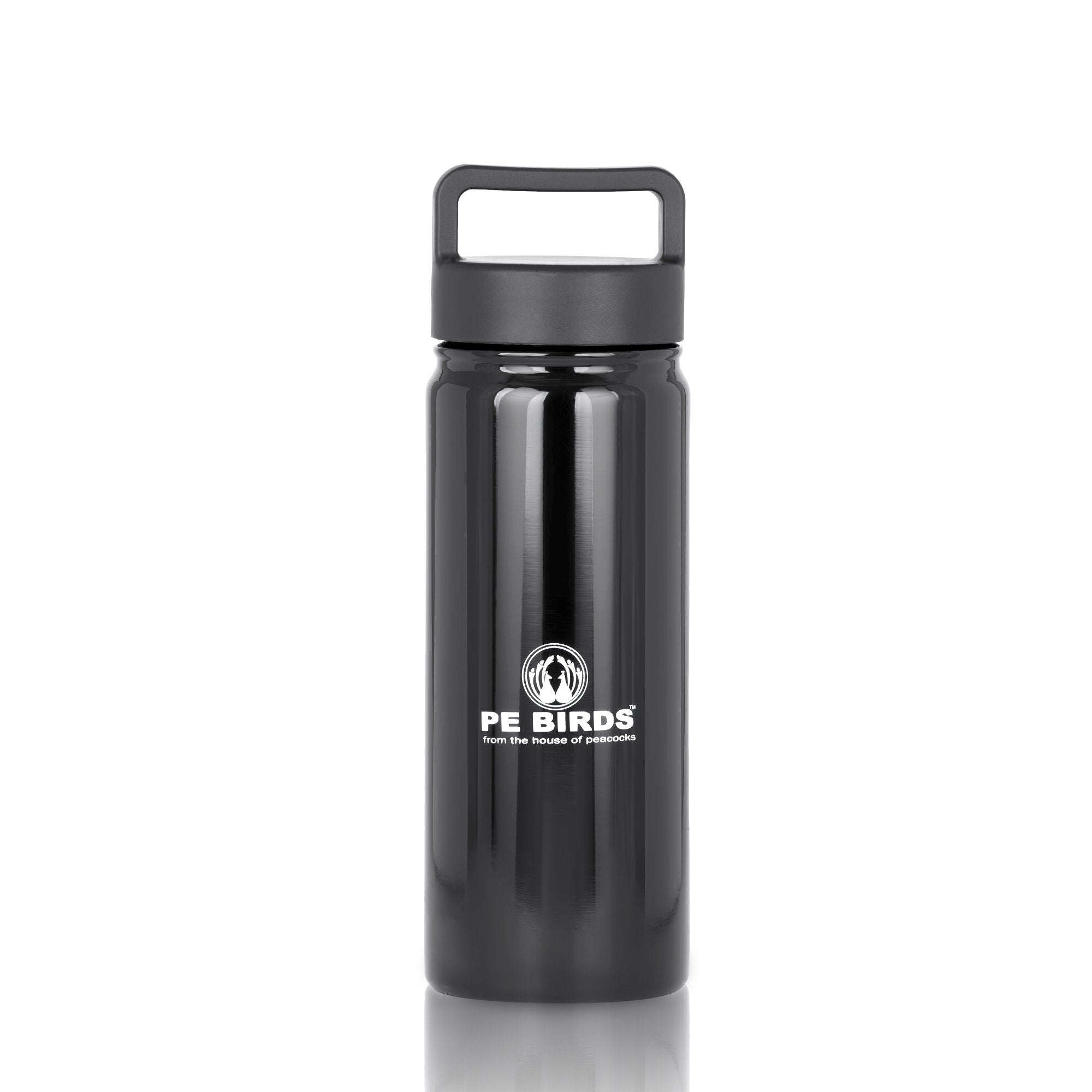 Tom BPA FREE Water Bottle Stainless Steel