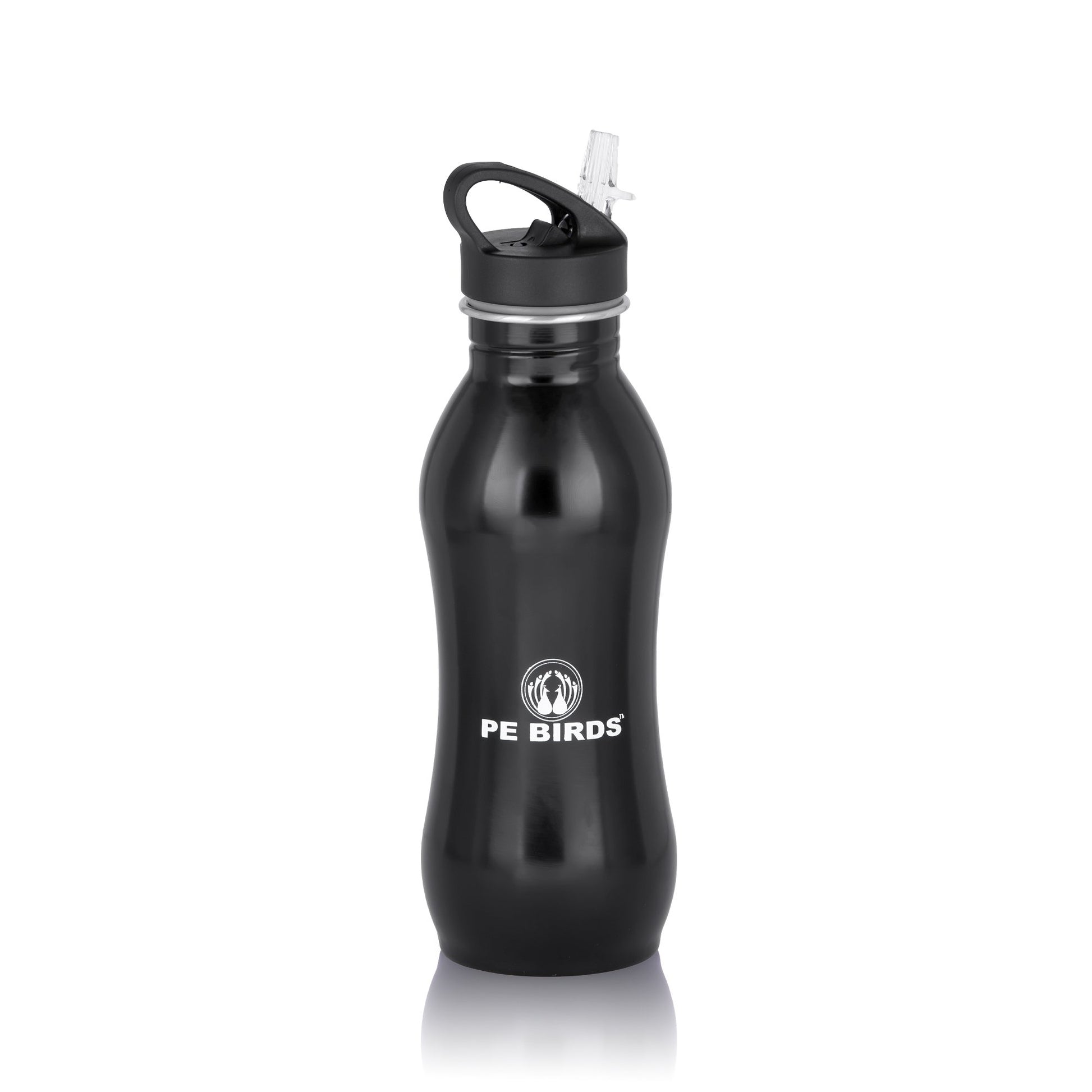 PE BIRDS Stainless Steel Cheers BPA FREE Fridge Water Bottle