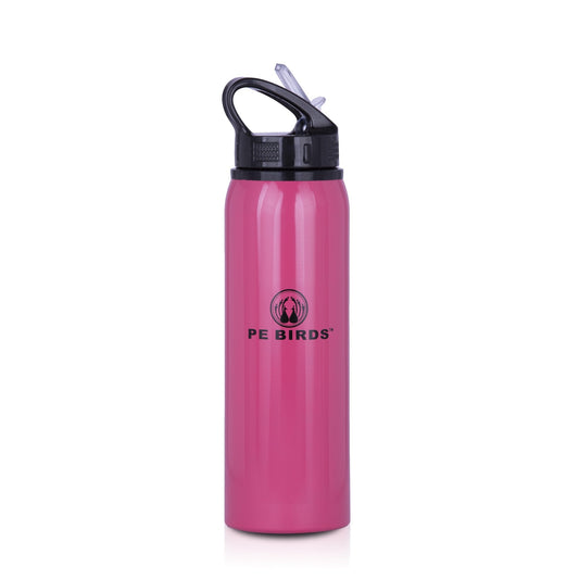 PE BIRDS Stainless Steel Achiver BPA FREE Water Bottle