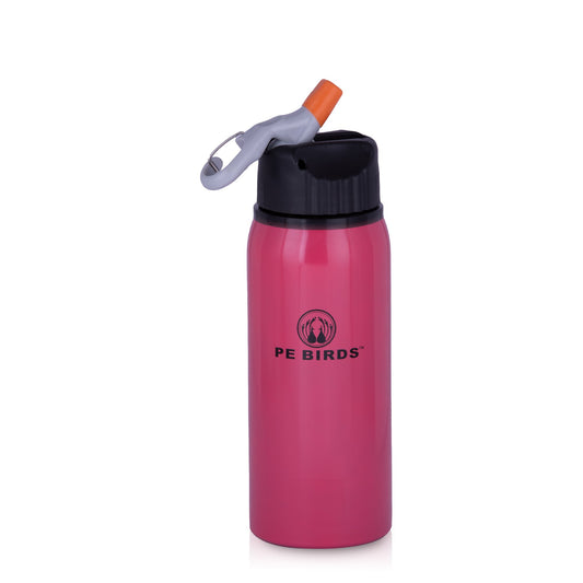 PE BIRDS Stainless Steel Ludo BPA FREE Water Bottle,700 ml