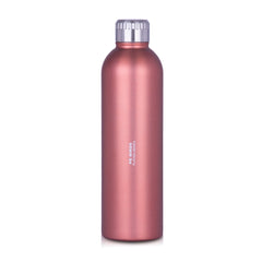 PE BIRDS Stainless Steel Oscar Vacuum Flask  (Platina series)