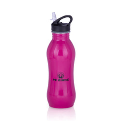 PE BIRDS Stainless Steel Cheers BPA FREE Fridge Water Bottle