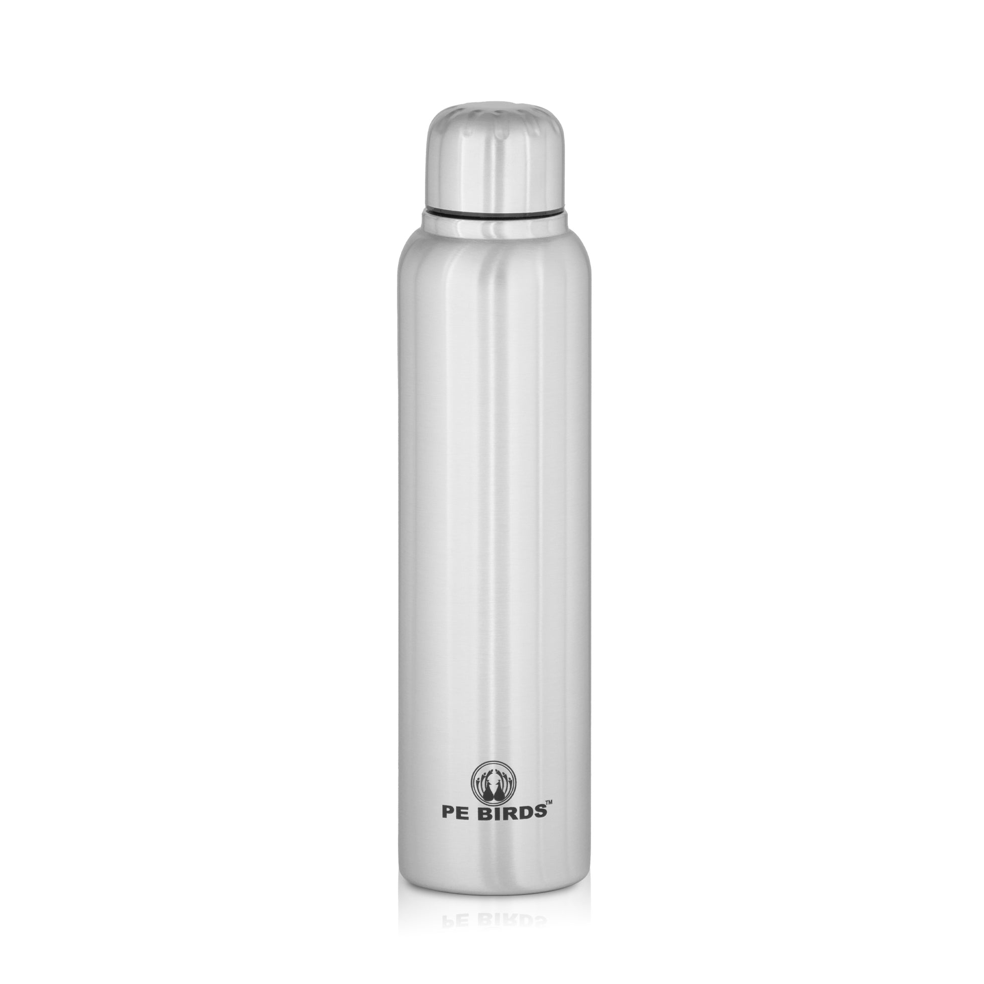 Pony Fridge Water Bottle Stainless Steel