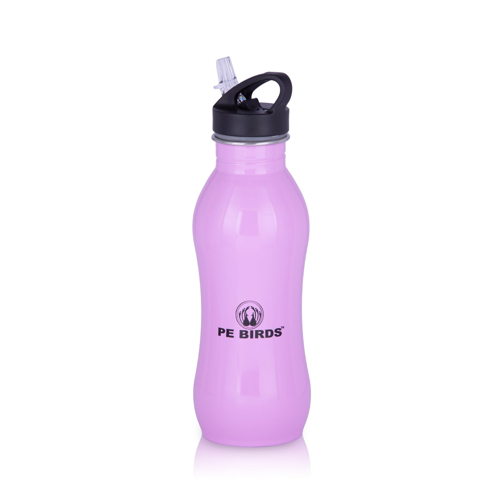 PE BIRDS Stainless Steel Cheers BPA FREE Fridge Water Bottle