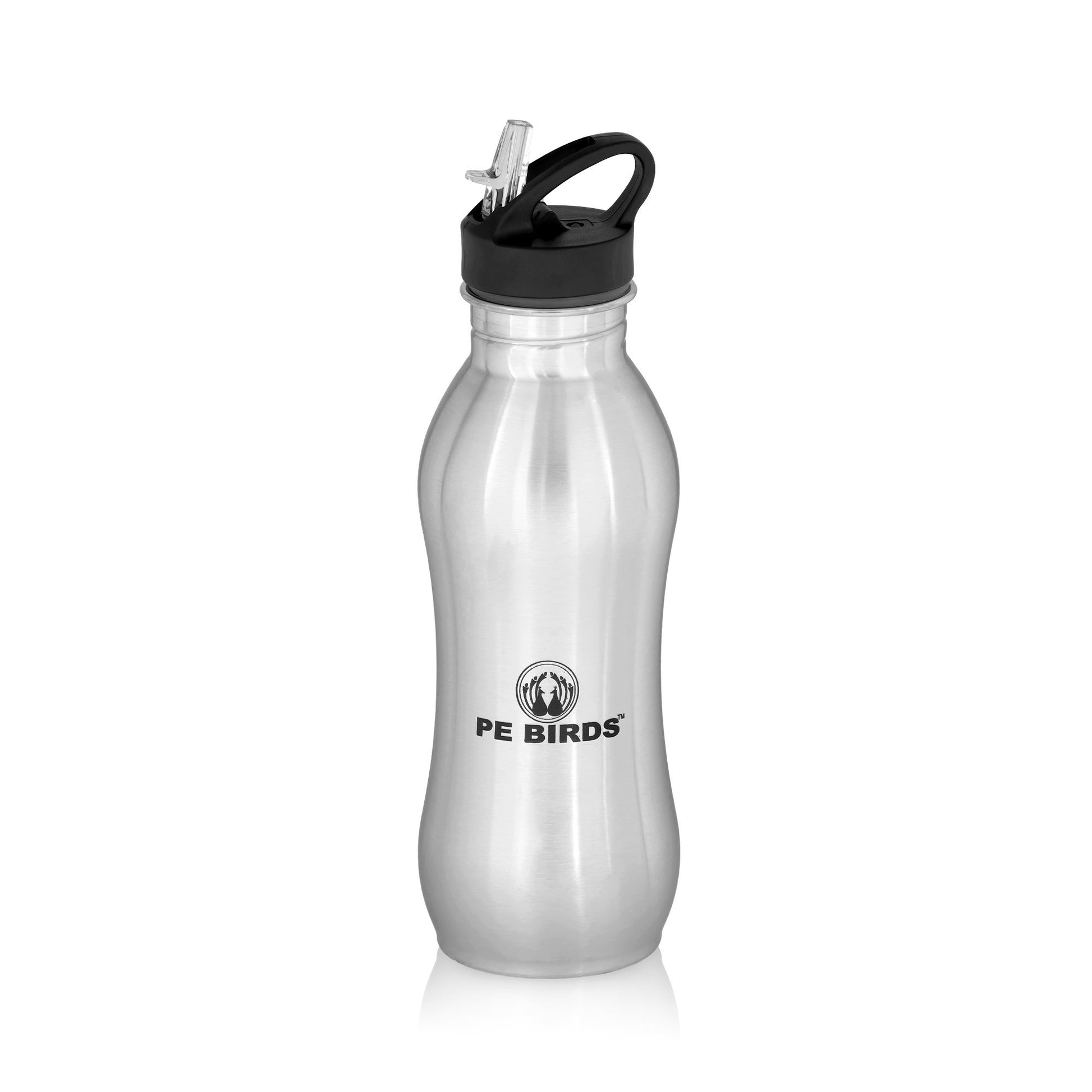 PE BIRDS Stainless Steel Cheers BPA FREE Fridge Water Bottle