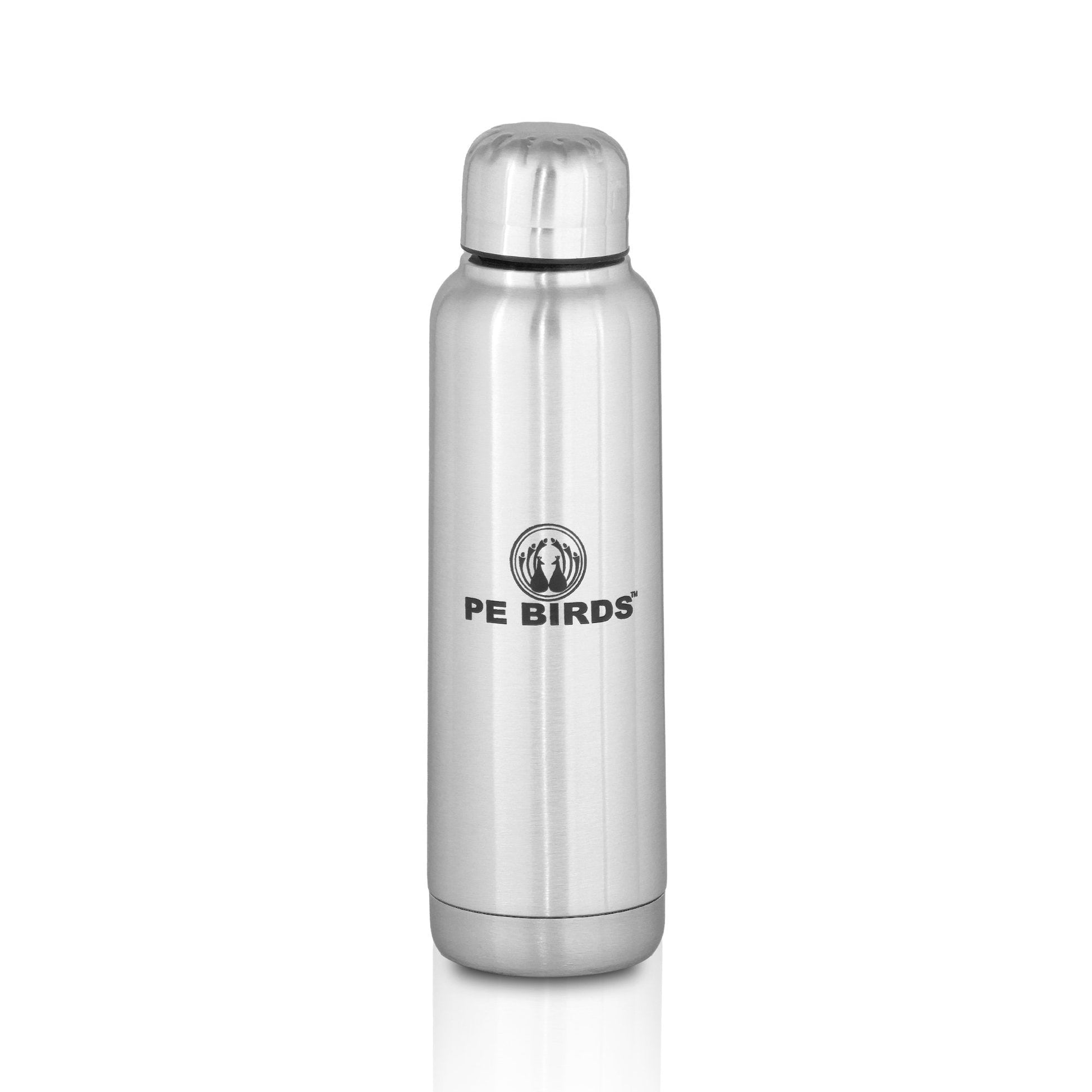 PE BIRDS Stainless Steel Double Wall Trendy Vacuum Flask