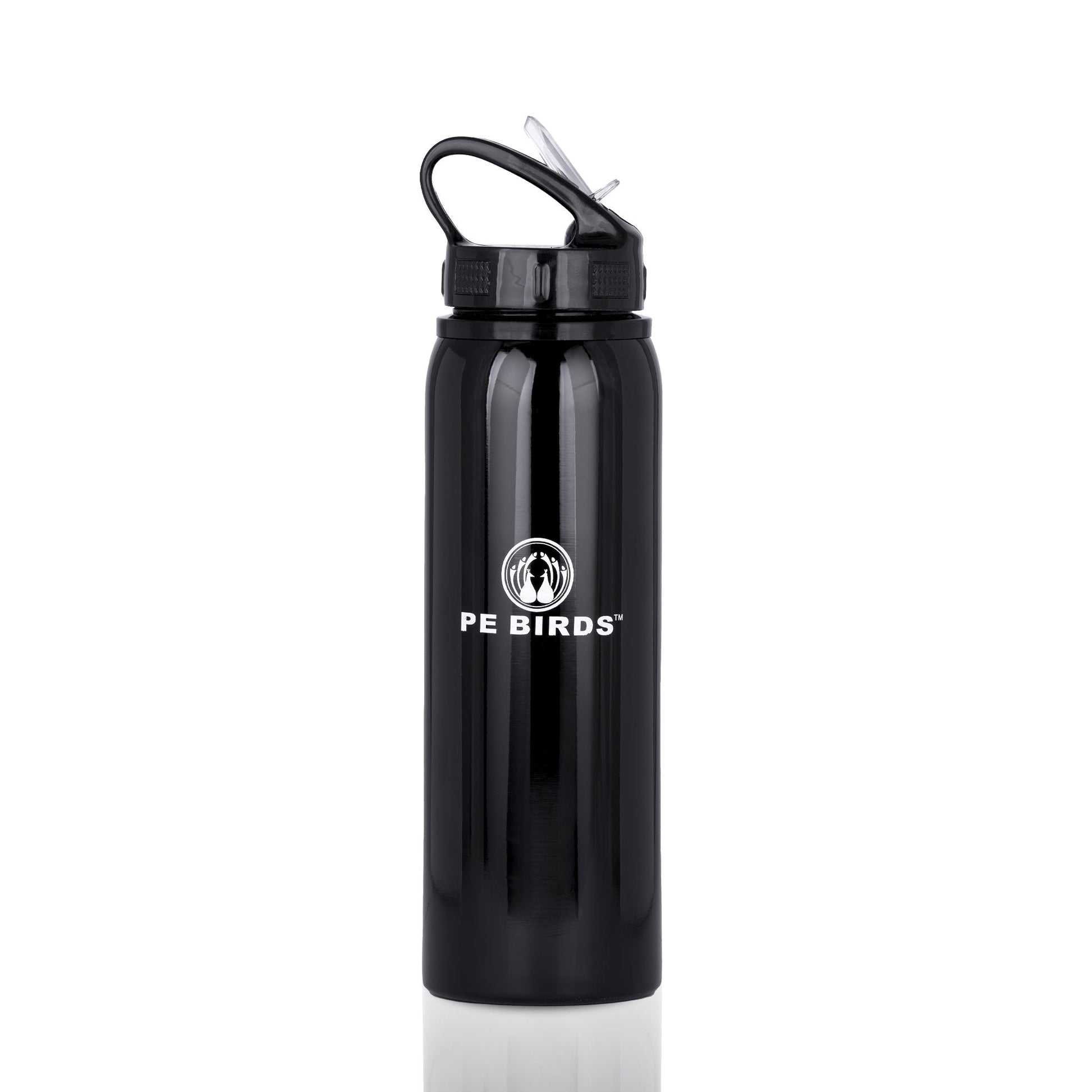 PE BIRDS Stainless Steel Achiver BPA FREE Water Bottle