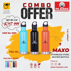 Maxo Stainless Steel Combo Fridge Water Bottle/Refrigerator Bottle/ Pack of 3 750 ML