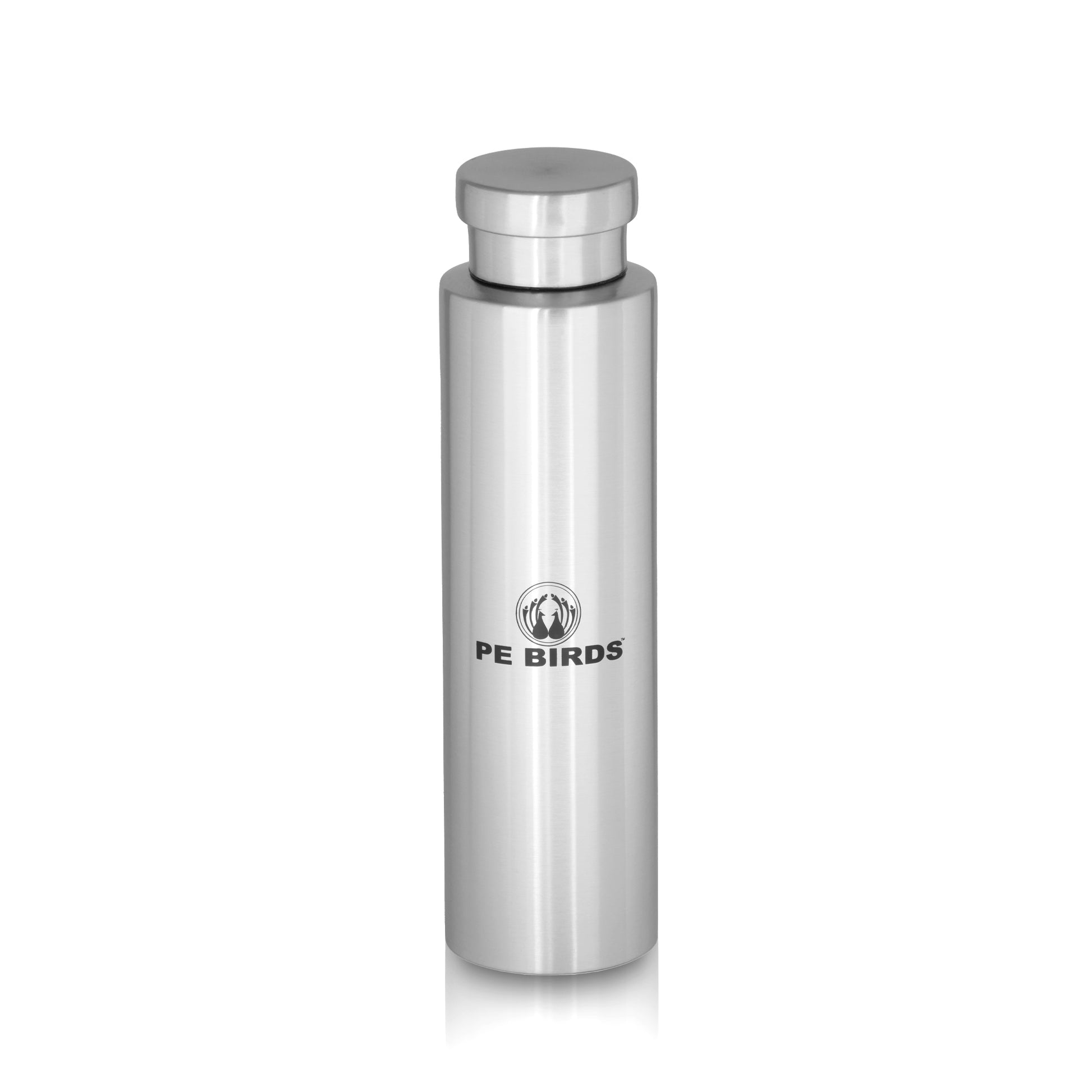 PE BIRDS Stainless Steel GEO Water Bottle